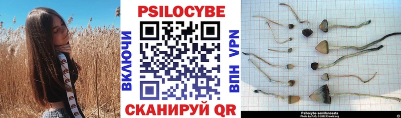 Галлюциногенные грибы Cubensis  Нерюнгри 